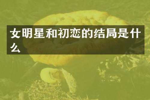 女明星和初恋的结局是什么