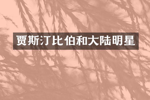 贾斯汀比伯和大陆明星