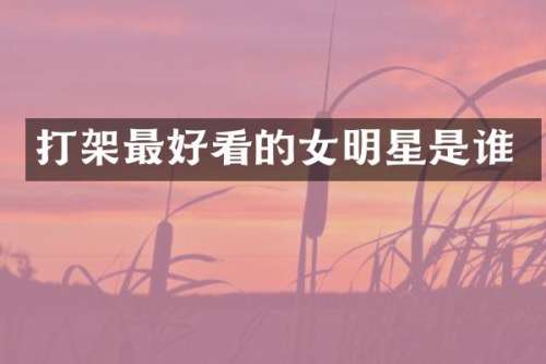 打架最好看的女明星是谁