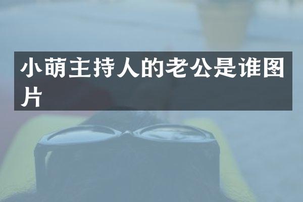 小萌主持人的老公是谁图片