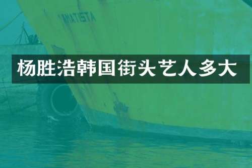 杨胜浩韩国街头艺人多大