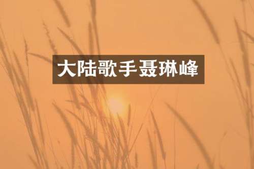 大陆歌手聂琳峰