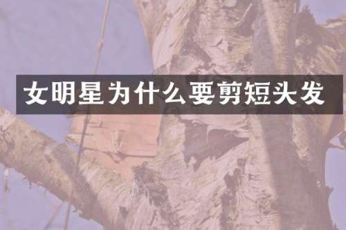 女明星为什么要剪短头发