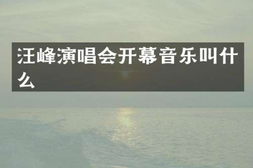 汪峰演唱会开幕音乐叫什么