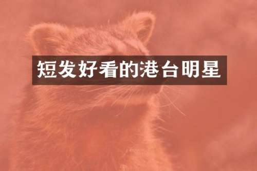 短发好看的港台明星