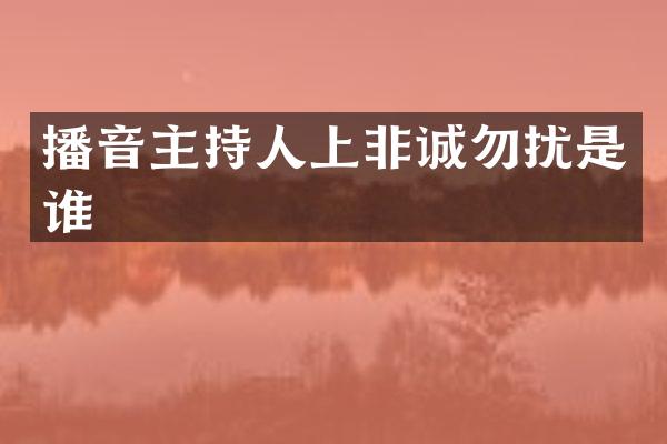 播音主持人上非诚勿扰是谁
