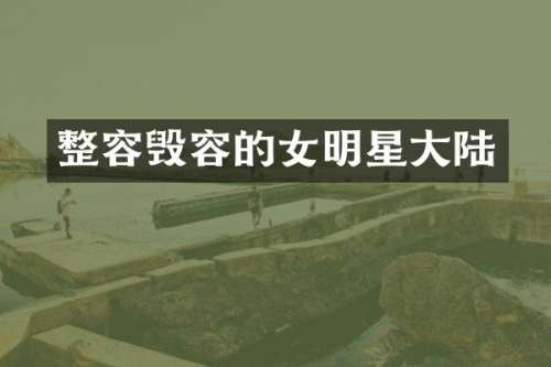 整容毁容的女明星大陆