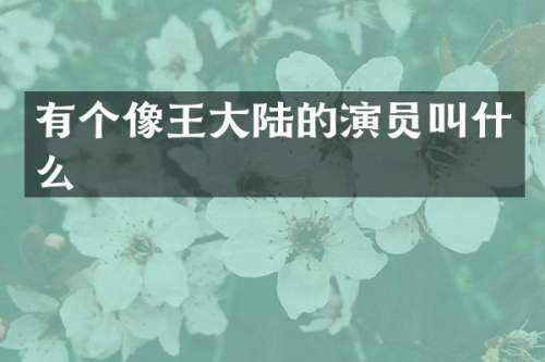 有个像王大陆的演员叫什么