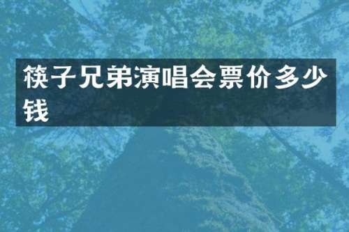 筷子兄弟演唱会票价多少钱