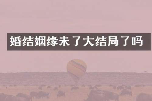 婚结姻缘未了大结局了吗