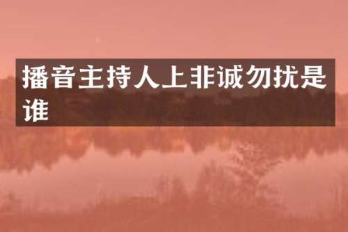 播音主持人上非诚勿扰是谁