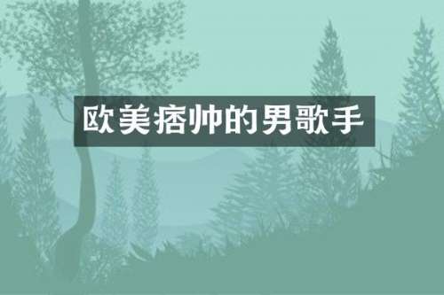 欧美痞帅的男歌手