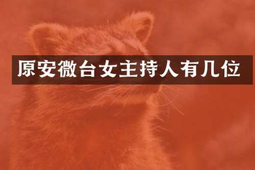 原安微台女主持人有几位