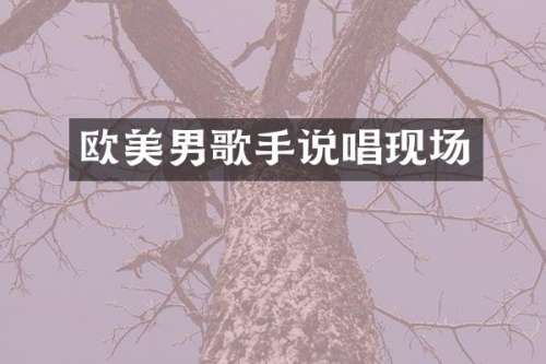 欧美男歌手说唱现场