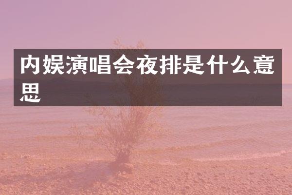 内娱演唱会夜排是什么意思