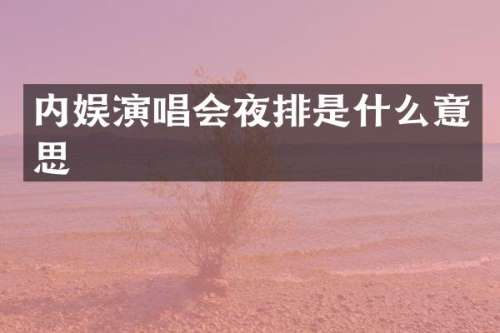 内娱演唱会夜排是什么意思