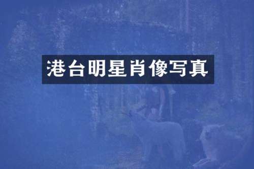 港台明星肖像写真