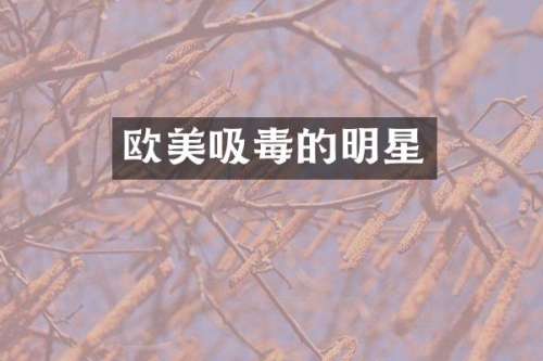 欧美吸毒的明星
