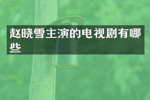 赵晓雪主演的电视剧有哪些
