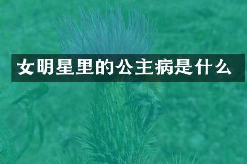 女明星里的公主病是什么