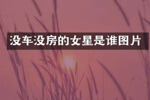 没车没房的女星是谁图片