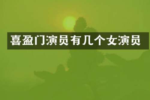 喜盈门演员有几个女演员