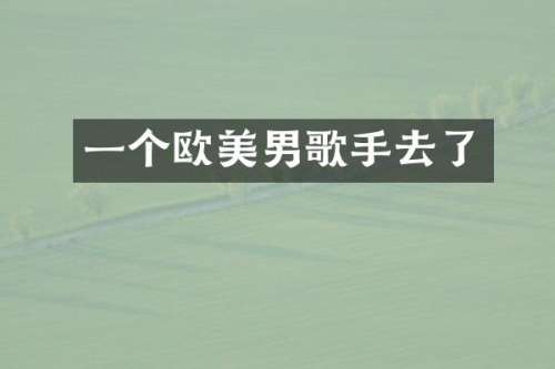 一个欧美男歌手去了