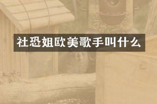 社恐姐欧美歌手叫什么