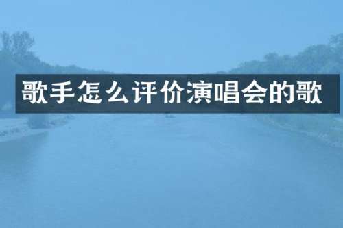 歌手怎么评价演唱会的歌