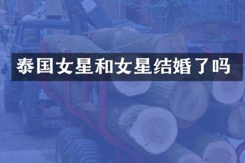 泰国女星和女星结婚了吗