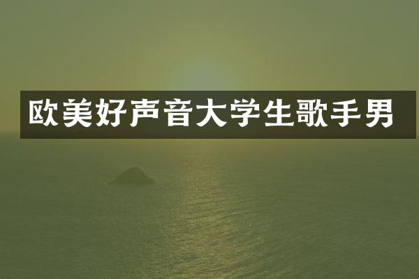 欧美好声音大学生歌手男