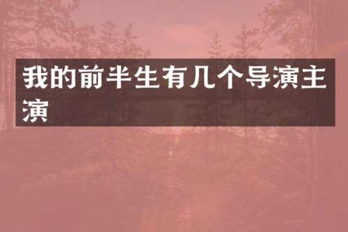 我的前半生有几个导演主演