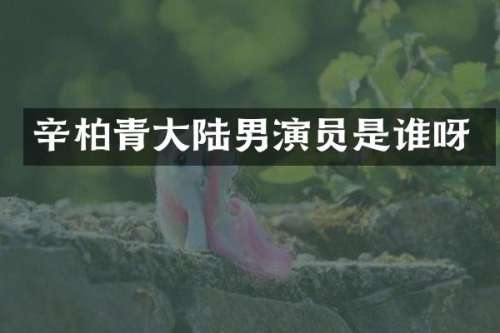 辛柏青大陆男演员是谁呀