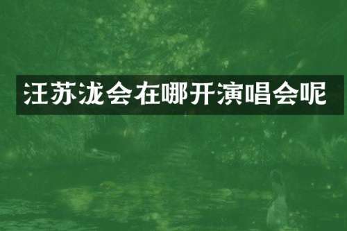 汪苏泷会在哪开演唱会呢