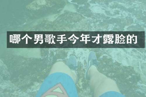 哪个男歌手今年才脸的