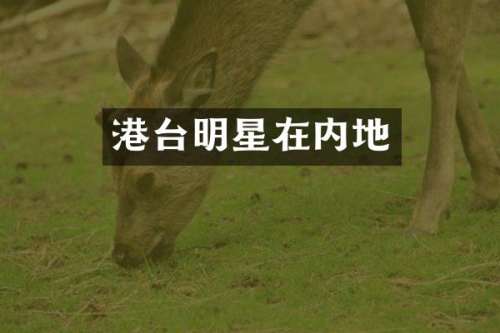 港台明星在内地