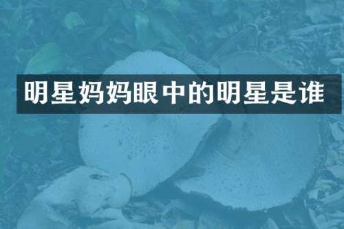 明星妈妈眼中的明星是谁