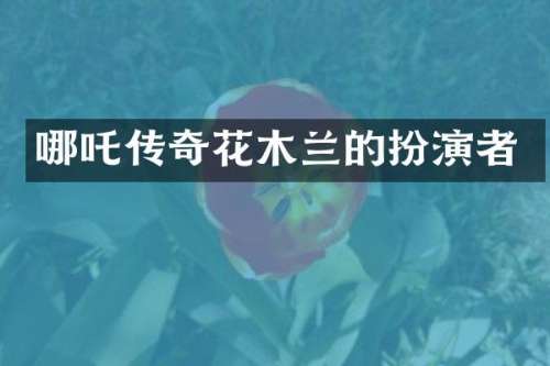 哪吒传奇花木兰的扮演者