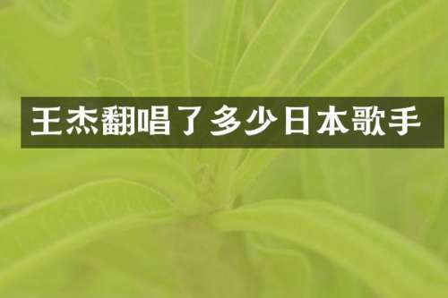 王杰翻唱了多少日本歌手