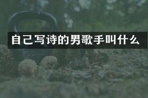 自己写诗的男歌手叫什么