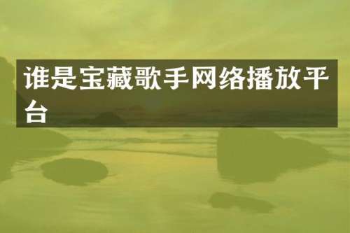 谁是宝藏歌手网络播放平台