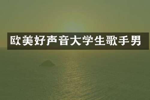 欧美好声音大学生歌手男