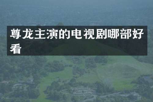 尊龙主演的电视剧哪部好看