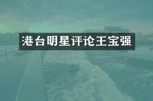 港台明星评论王宝强
