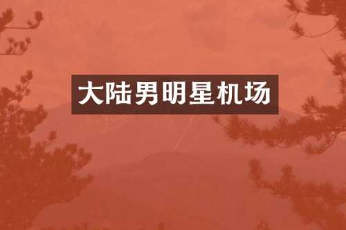 大陆男明星机场