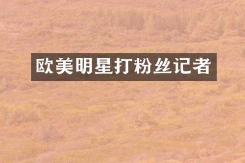 欧美明星打粉丝记者