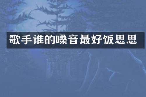 歌手谁的嗓音最好饭思思