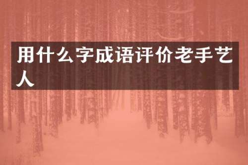 用什么字成语评价老手艺人