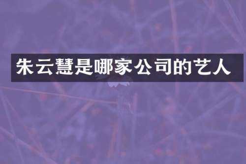 朱云慧是哪家公司的艺人