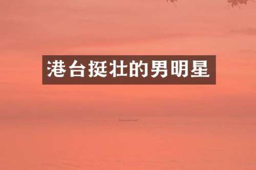 港台挺壮的男明星